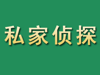 渝中市私家正规侦探